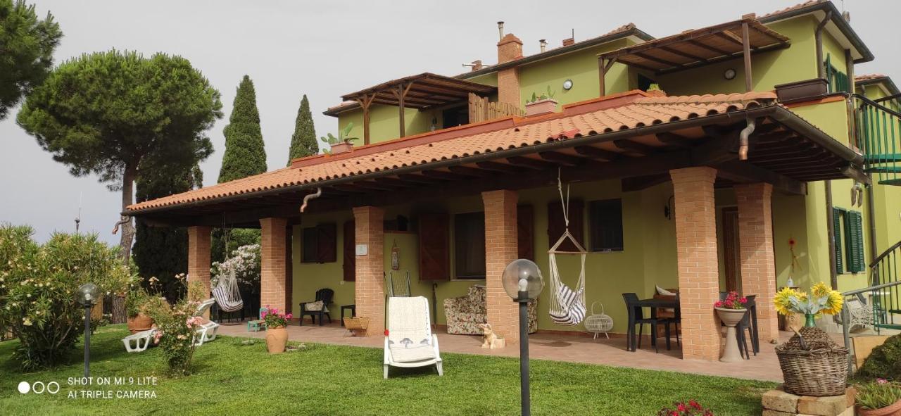Agriturismo Poggio All'Olivo 福洛尼卡 外观 照片