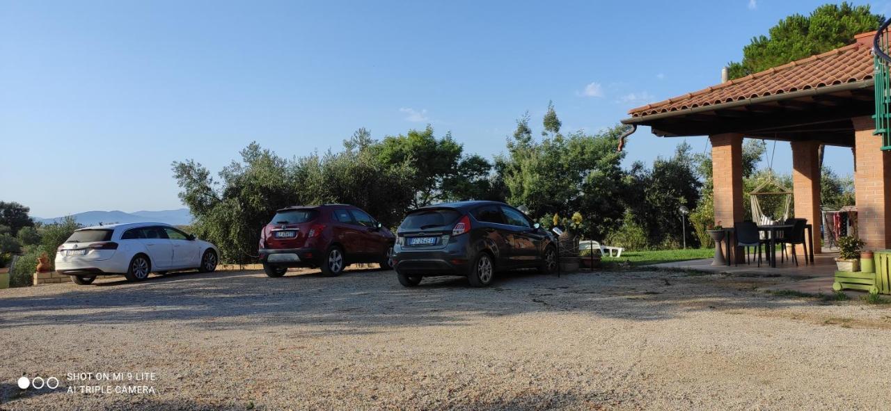 Agriturismo Poggio All'Olivo 福洛尼卡 外观 照片