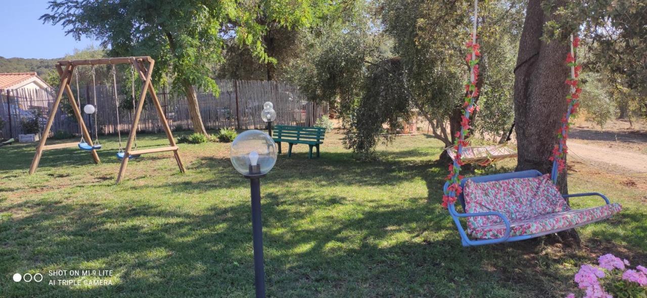 Agriturismo Poggio All'Olivo 福洛尼卡 外观 照片
