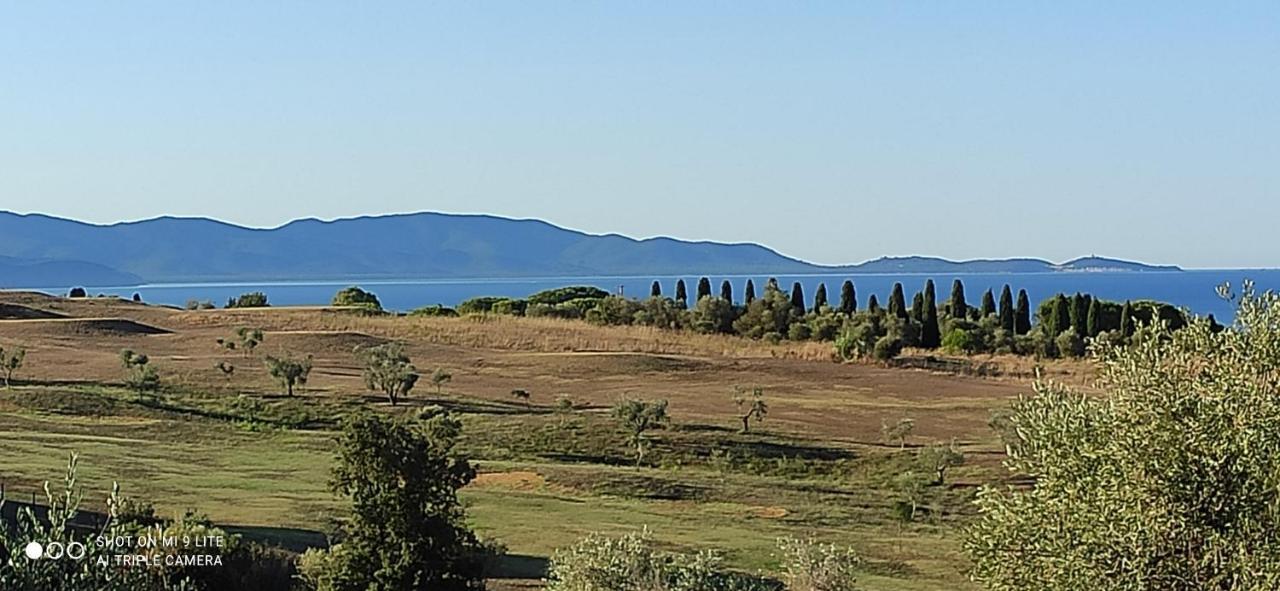 Agriturismo Poggio All'Olivo 福洛尼卡 外观 照片