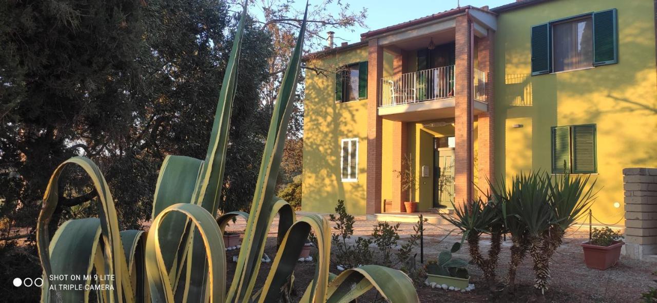 Agriturismo Poggio All'Olivo 福洛尼卡 外观 照片