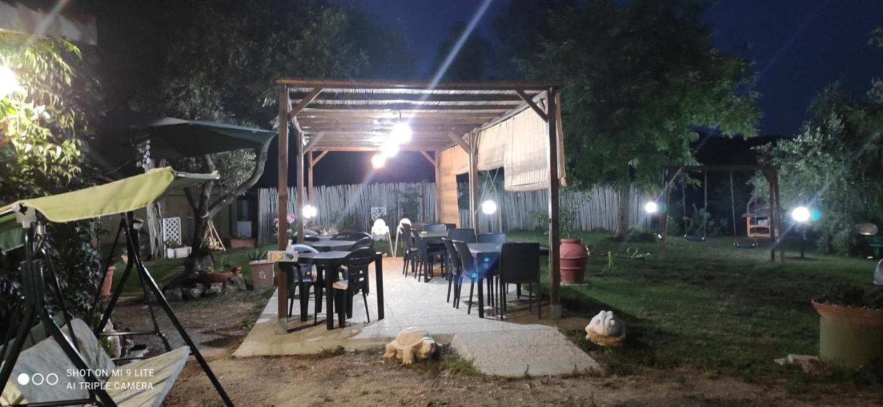 Agriturismo Poggio All'Olivo 福洛尼卡 外观 照片