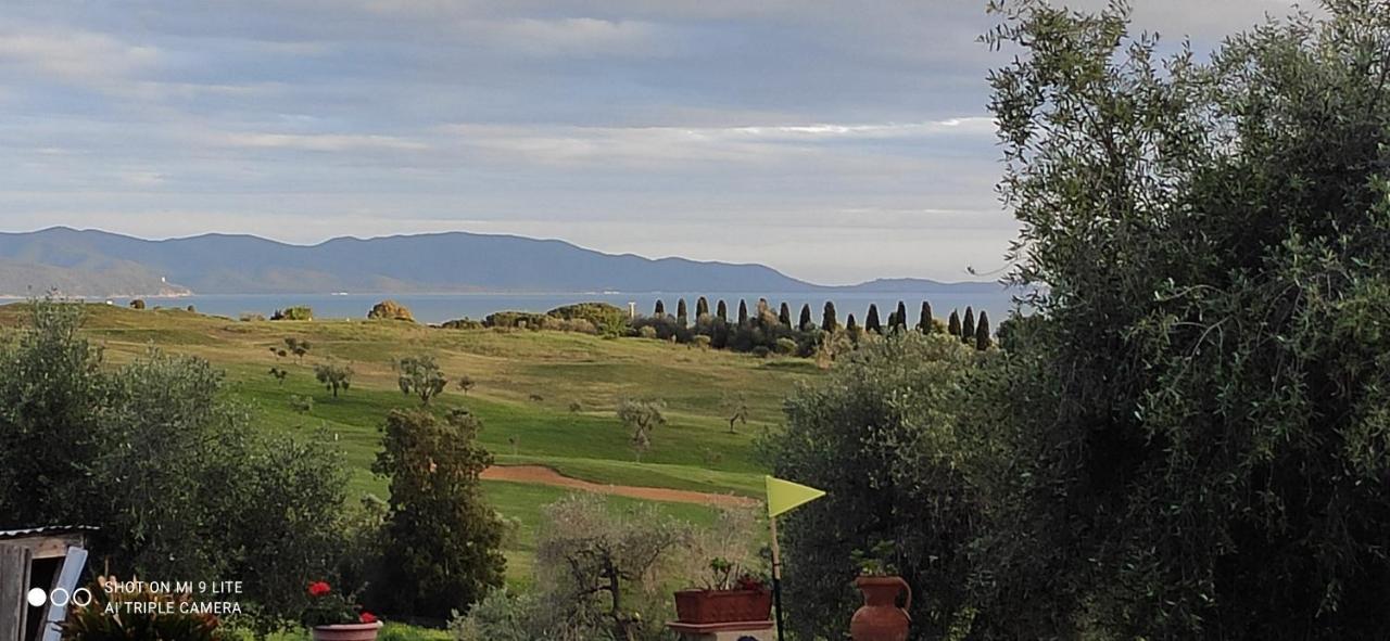 Agriturismo Poggio All'Olivo 福洛尼卡 外观 照片