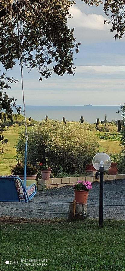Agriturismo Poggio All'Olivo 福洛尼卡 外观 照片