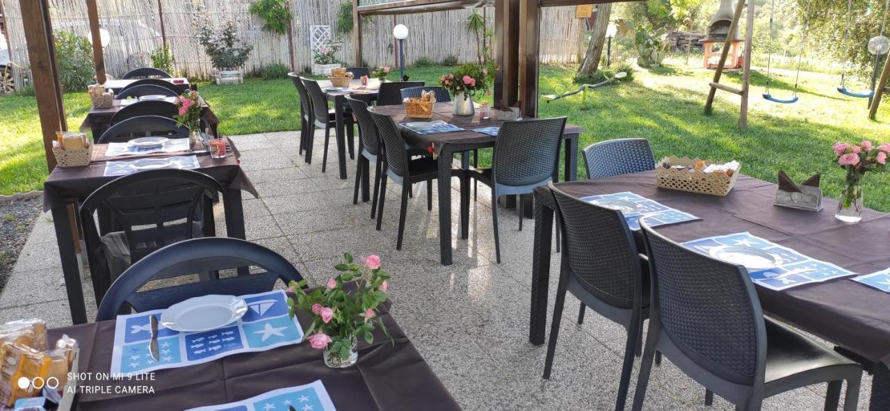 Agriturismo Poggio All'Olivo 福洛尼卡 外观 照片