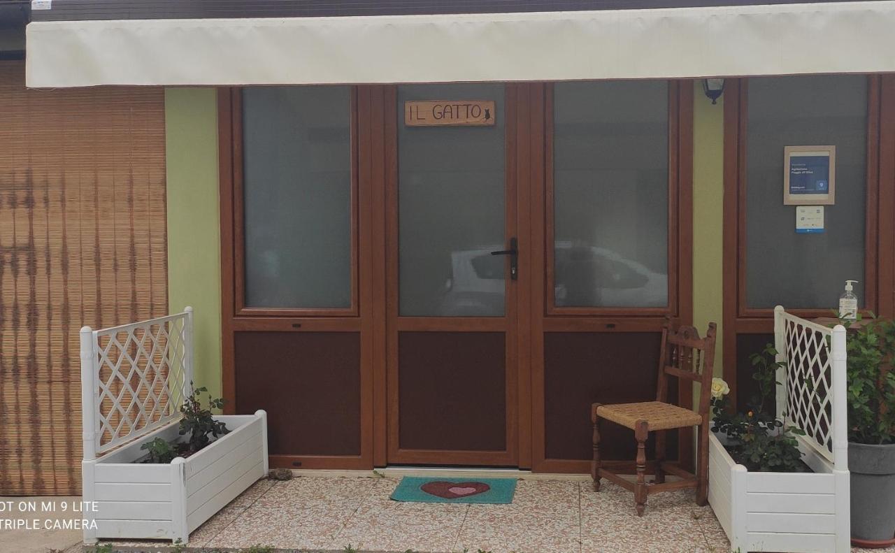Agriturismo Poggio All'Olivo 福洛尼卡 外观 照片