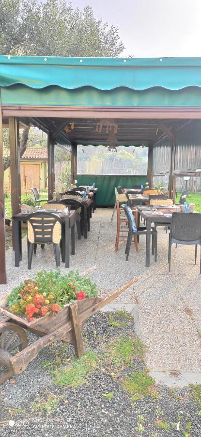Agriturismo Poggio All'Olivo 福洛尼卡 外观 照片