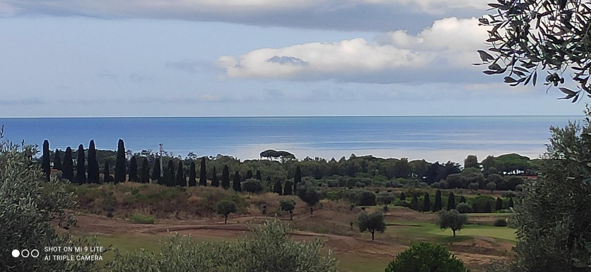 Agriturismo Poggio All'Olivo 福洛尼卡 外观 照片
