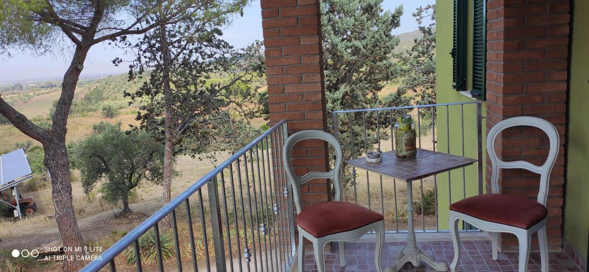 Agriturismo Poggio All'Olivo 福洛尼卡 客房 照片