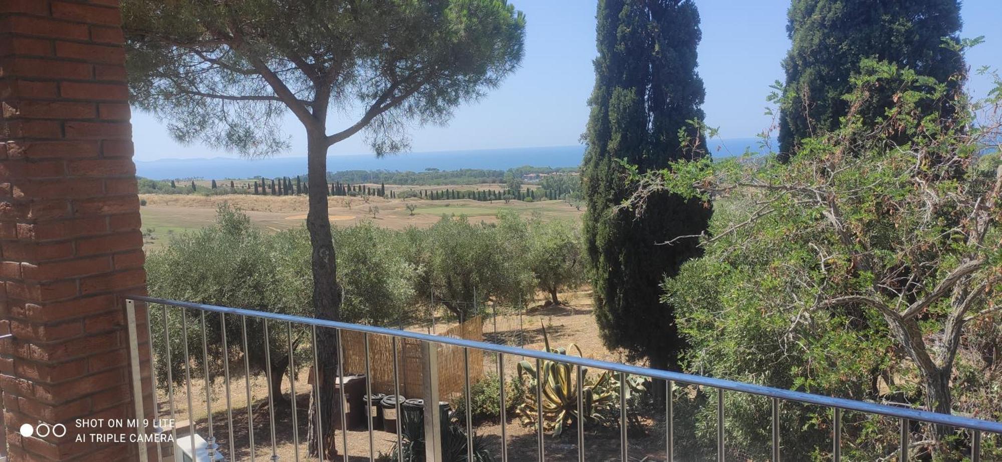 Agriturismo Poggio All'Olivo 福洛尼卡 客房 照片