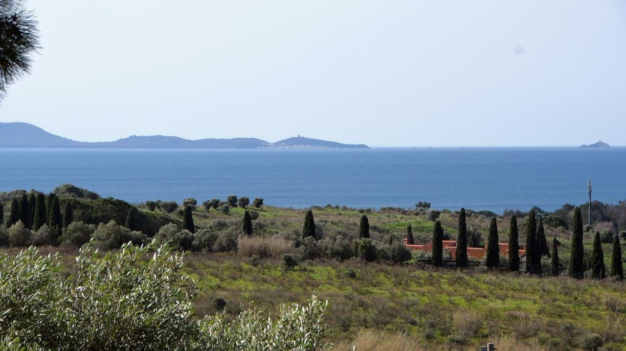 Agriturismo Poggio All'Olivo 福洛尼卡 外观 照片
