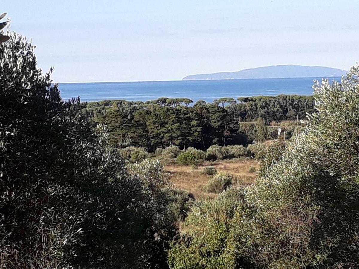 Agriturismo Poggio All'Olivo 福洛尼卡 外观 照片